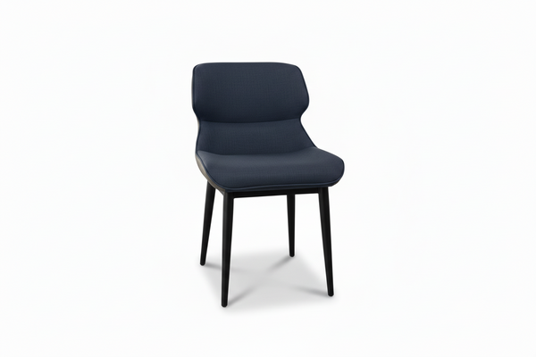 Aero Dual-tone Dining Chair