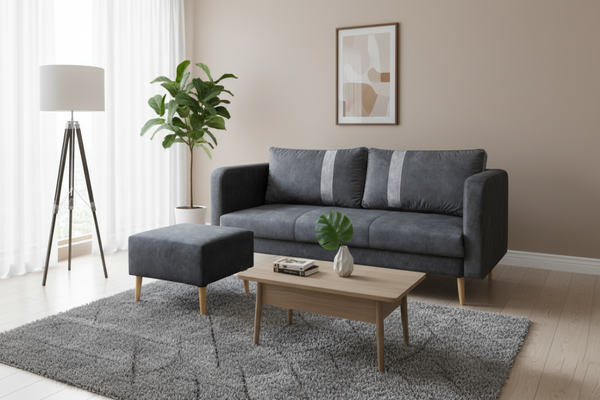 Modern living room with a gray sofa, ottoman, and coffee table.