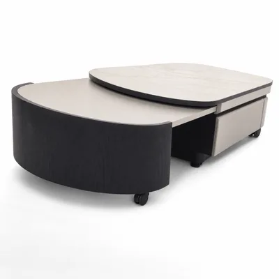 Calder Coffee Table