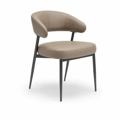 Karo Tech Fabric Dining Chair