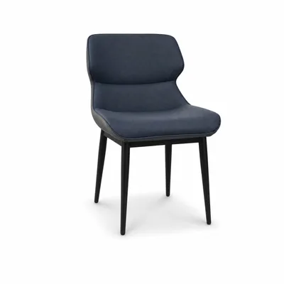 Aero Dual-tone Dining Chair